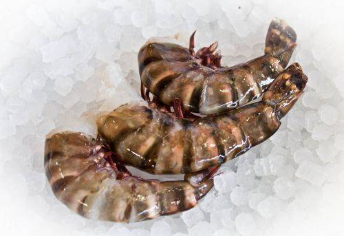 Black tiger shrimp 6/8 - Crevette 6/8