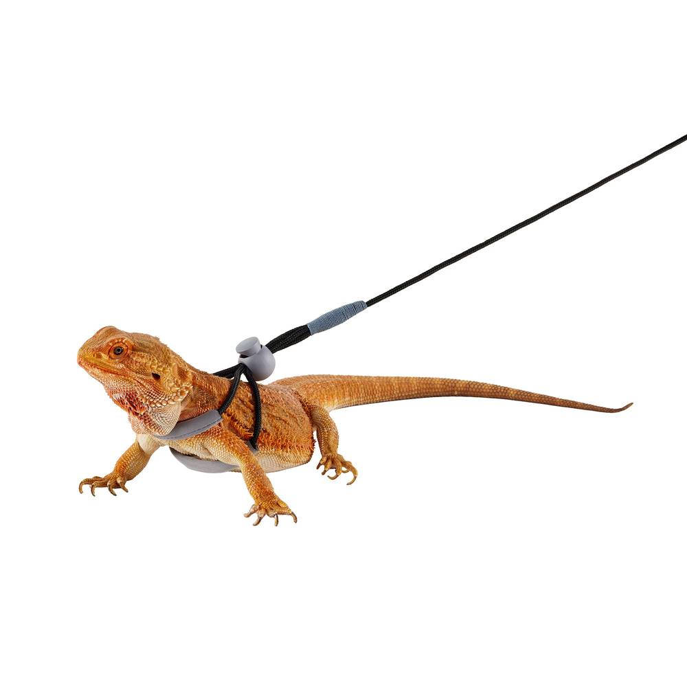 Thrive Beardie Harness, One Size