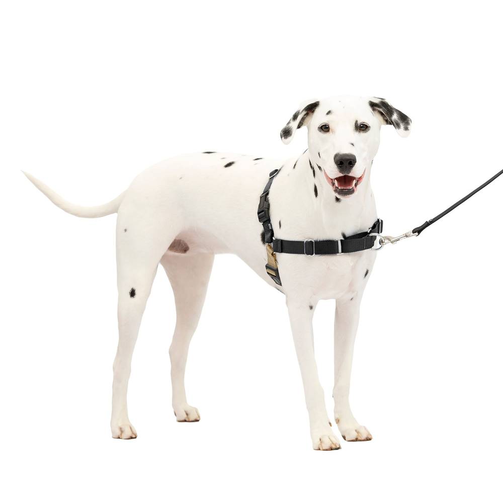 Easy Walk Dog Harness &No Pull Dog Harness