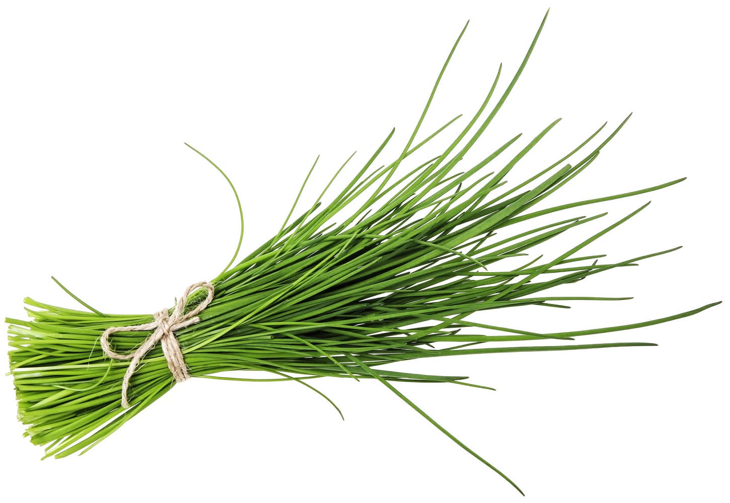 Ciboulette