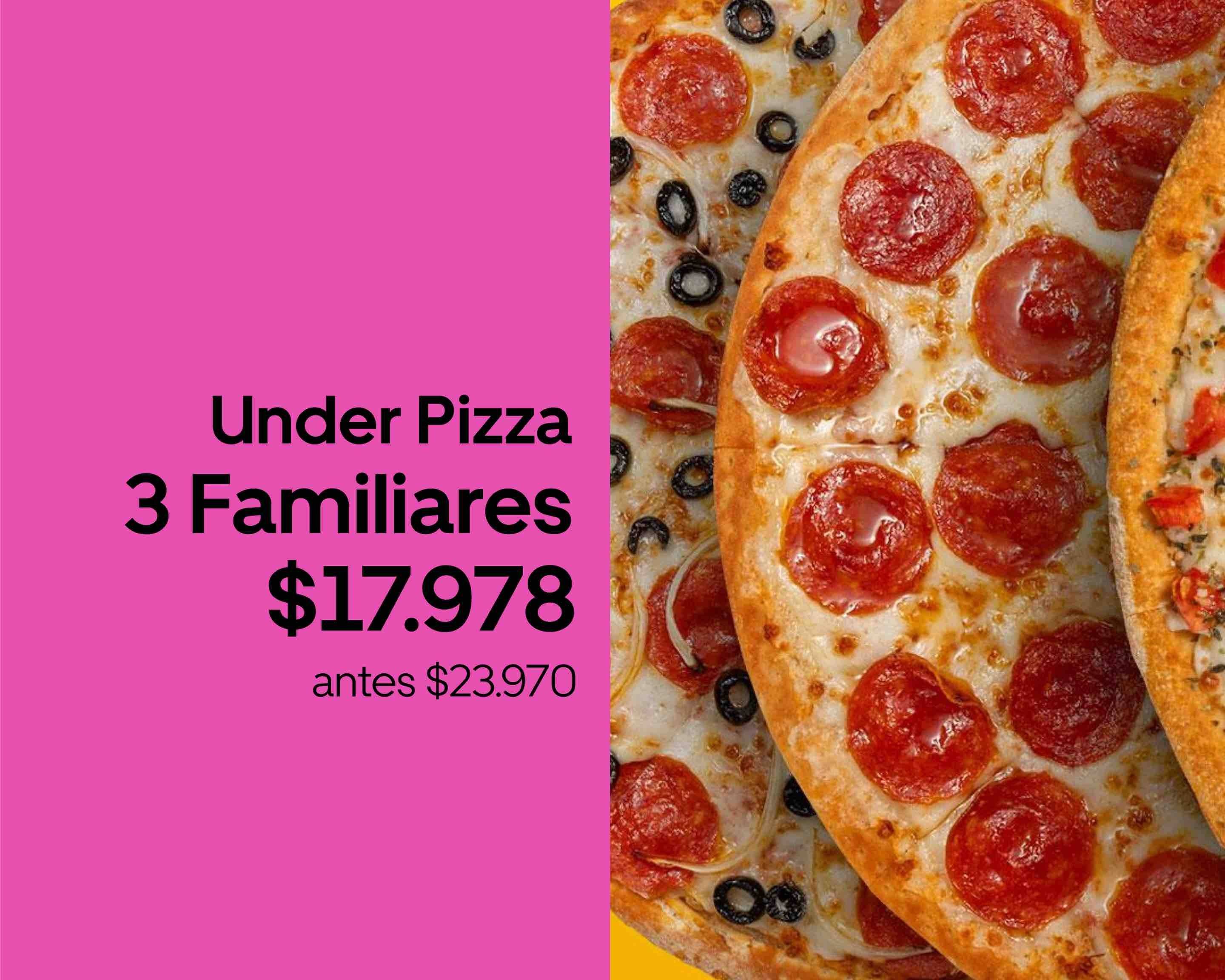 underpizza-departamental-men-a-domicilio-men-y-precios-santiago