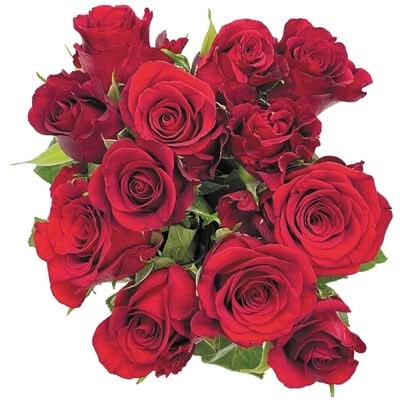 Red Dozen Roses 1.0 EA
