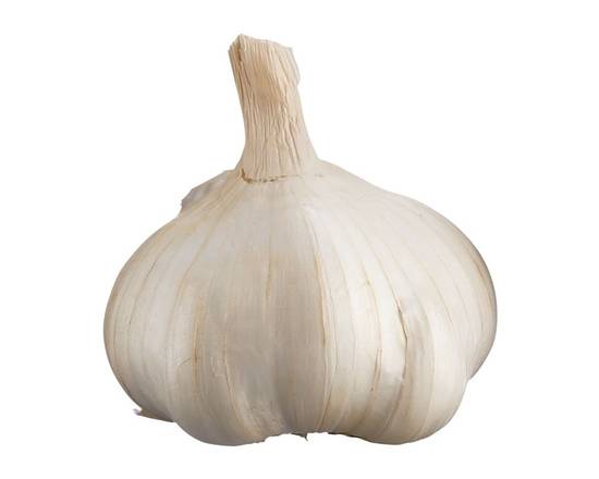 Ail - Colossal garlic