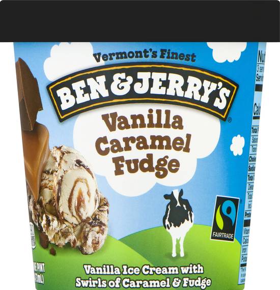 Ben & Jerry's Vanilla Caramel Fudge Ice Cream
