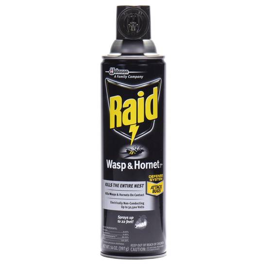 Raid, Wasp & Hornet Killer Spray, 14 oz