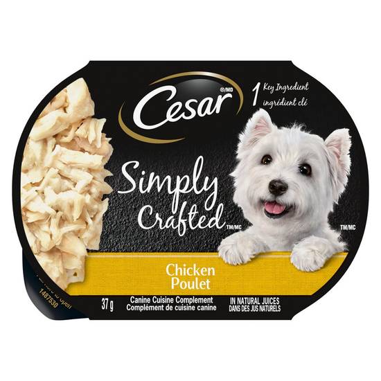Cesar nourriture pour chiens au poulet simply crafted (37 g) - simply crafted chicken recipe dog food (37 g)