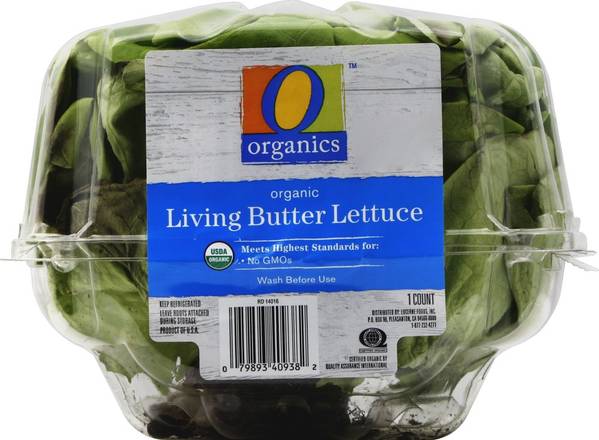Order O Organics · Living Butter Lettuce (1 lettuce) food online from Safeway store, Eureka on bringmethat.com