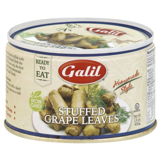 Galil Stuffed Grape Leaves (14 oz)