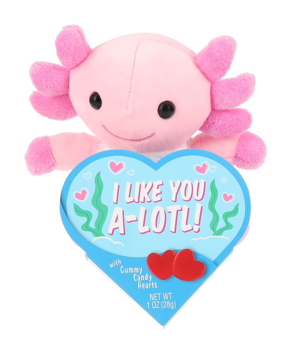 Valentine's Day Mini Axolotl Plush With Candy