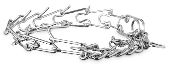 EveryYay Classic Training Dog Collar, XX-Large/3X-Large