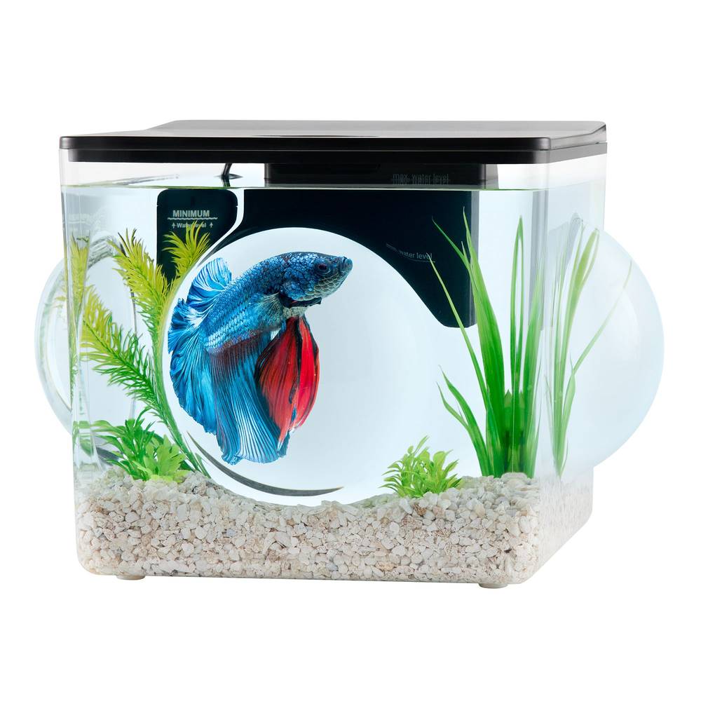 Top Fin Magnified Aquarium - 3G (Size: 3 Gal)