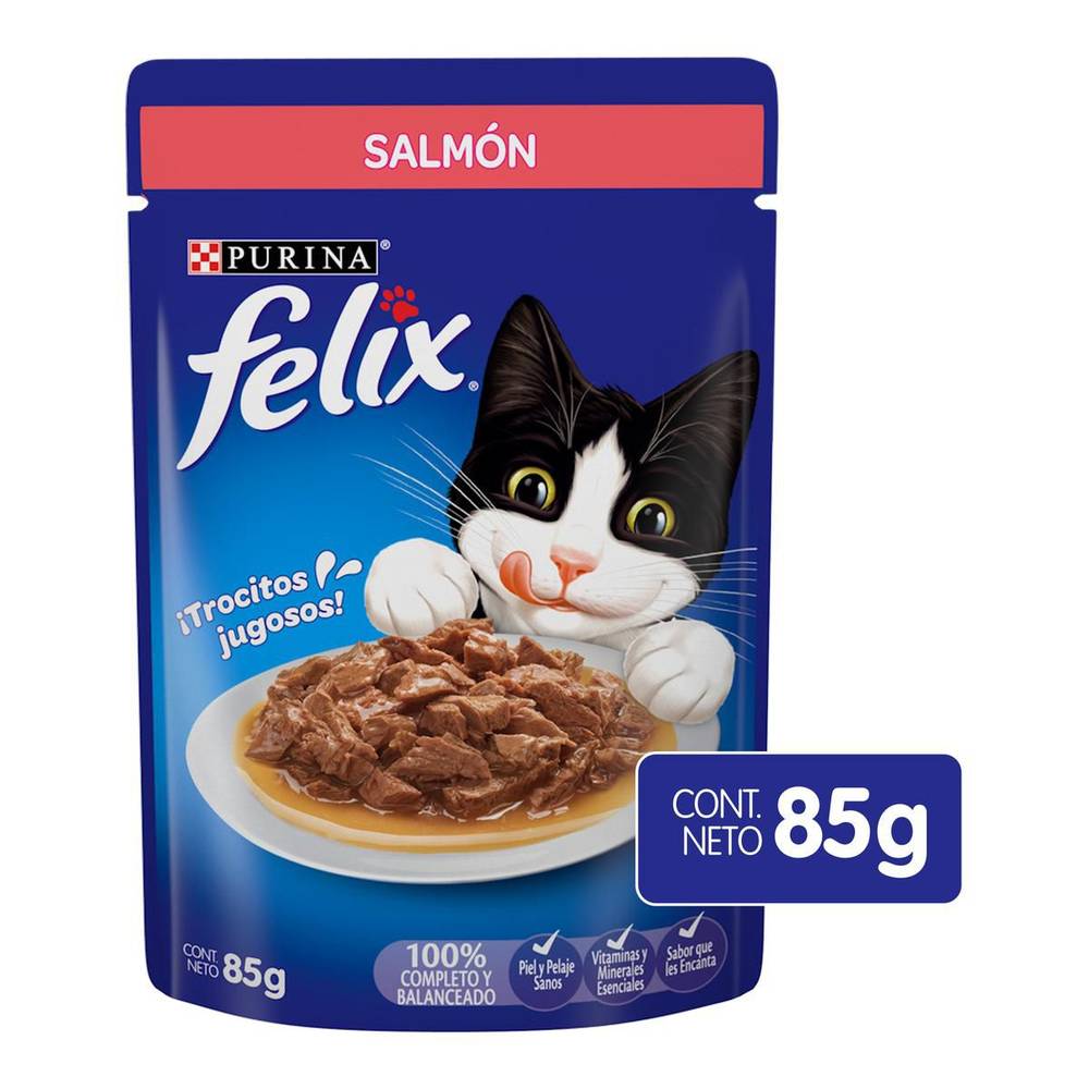 Purina Felix · Alimento húmedo para gatos, salmón, Adulto-Todas las Razas (85 g)