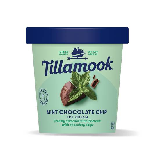 Tillamook Ice Cream (mint chocolate chip)
