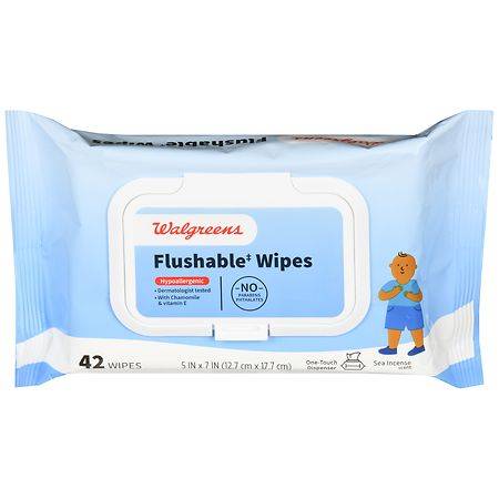 Walgreens Sea Incense Flushable Wipes (42 ct)