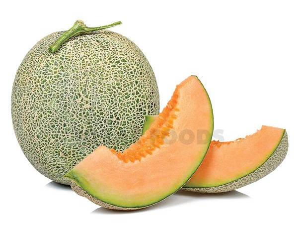 Cantaloupe (Each)