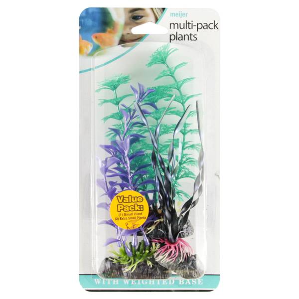 Meijer Multi-Pack Plants