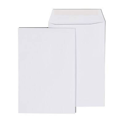 Staples Economy Gummed Catalog Envelopes, 6 x 9, White Wove (250 ct)