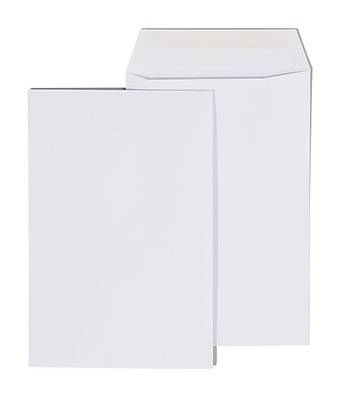 Staples Economy Gummed Catalog Envelopes, 6 x 9, White, 250/Box (50303T)