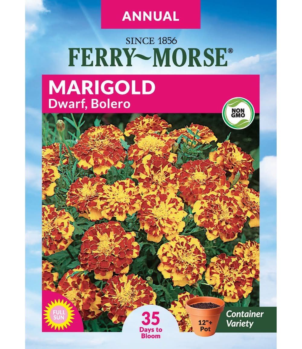 Ferry-Morse Marigold Seeds 300 Milligram(s)
