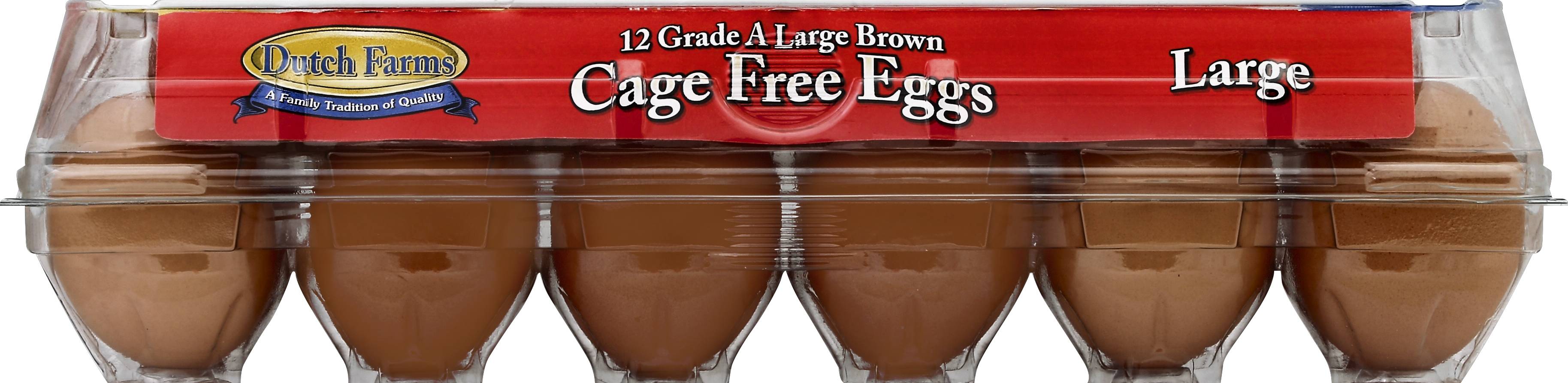 Dutch Farms Cage Free Grade a Brown Eggs, L (12 ct)