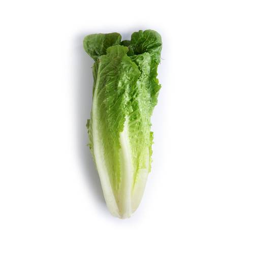 Romaine Lettuce 1 Bunch