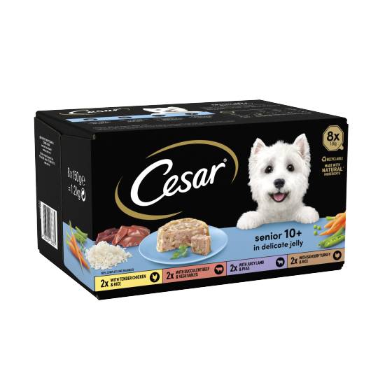 Cesar Senior Wet Dog Food Trays Meat in Delicate Jelly (8 ct)