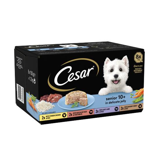 Cesar Senior Wet Dog Food (assorted)