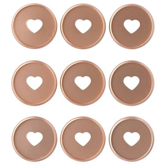 The Happy Planner Classic Discs, Rose Gold