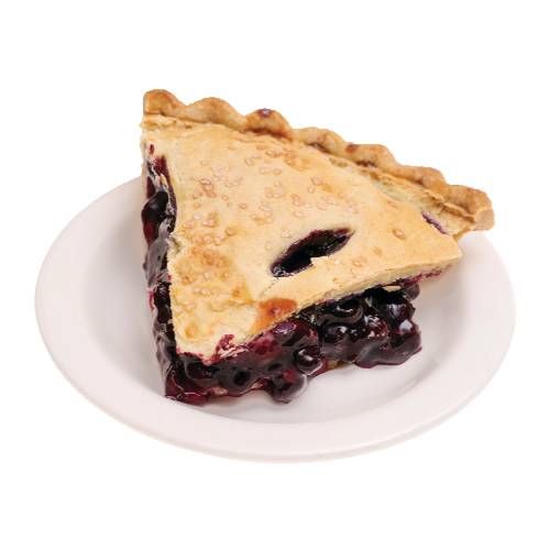 Double Crust Blueberry Pie