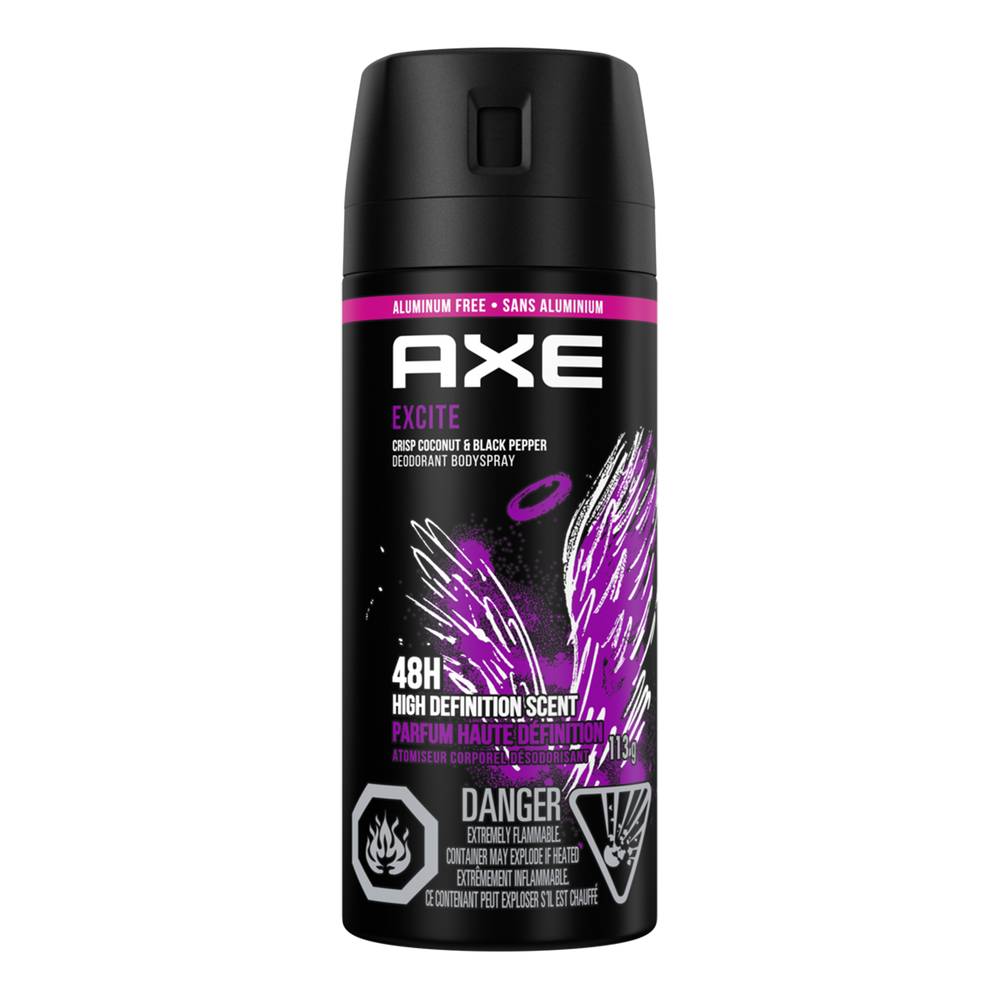Axe Excite Daily Fragrance Bodyspray (113 g)