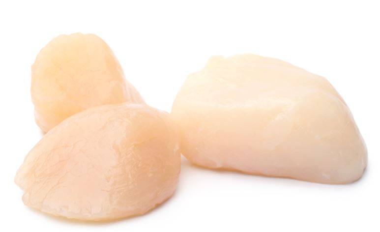 Frozen Scallops - 10/20 ct, Processed - 5 lbs