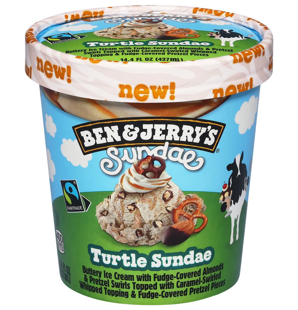Ben & Jerry's Ice Cream, Turtle Sundae (14.4 fl oz)