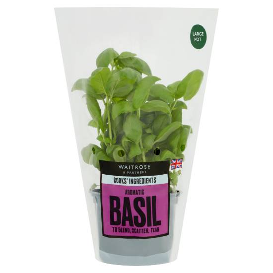 Waitrose Cooks' Ingredients Aromatic Basil