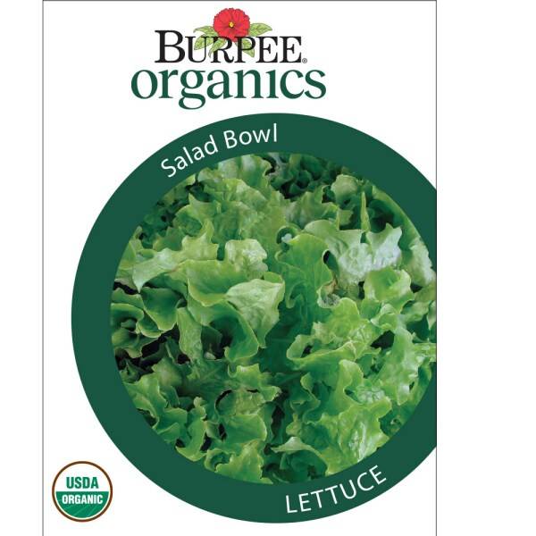 Burpee Org Lettuce Salad Bowl