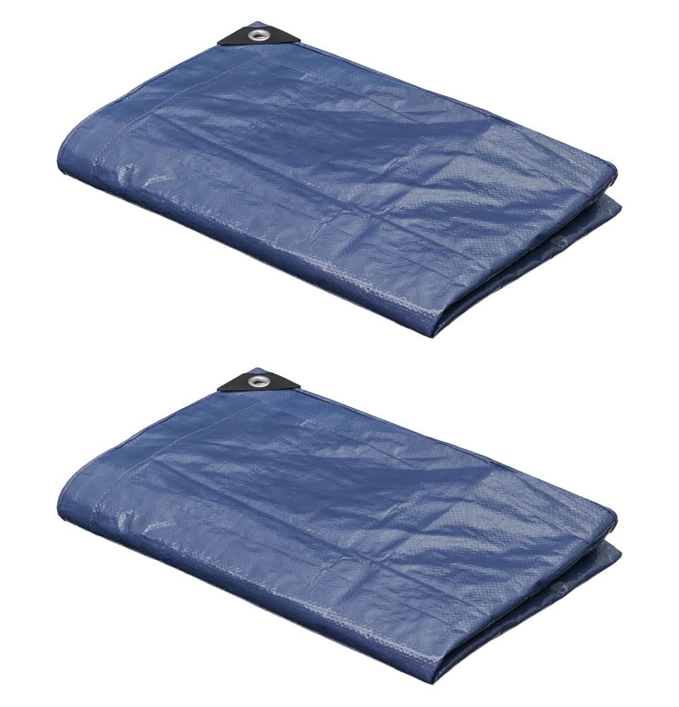 Adventuridge Blue 6' X 8' Medium Duty Tarp, 2Pk