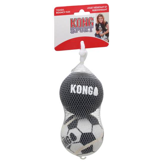 Kong Dog Toy