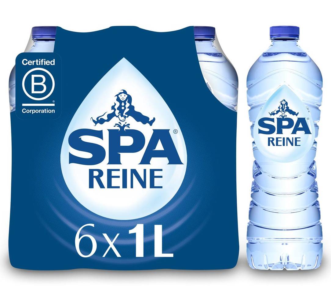 SPA REINE Eau Minérale Naturelle Non Pétillante 6x1L