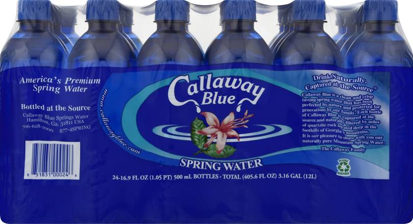 Spring 16.9 oz Water (24 ct)