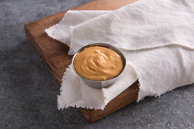 Hot Salsa Cheese Dip