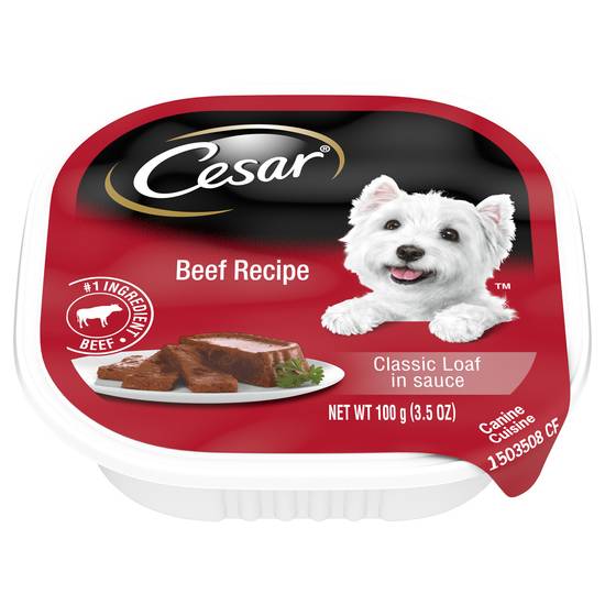 Cesar Beef Recipe Classic Loaf in Sauce Wet Dog Food