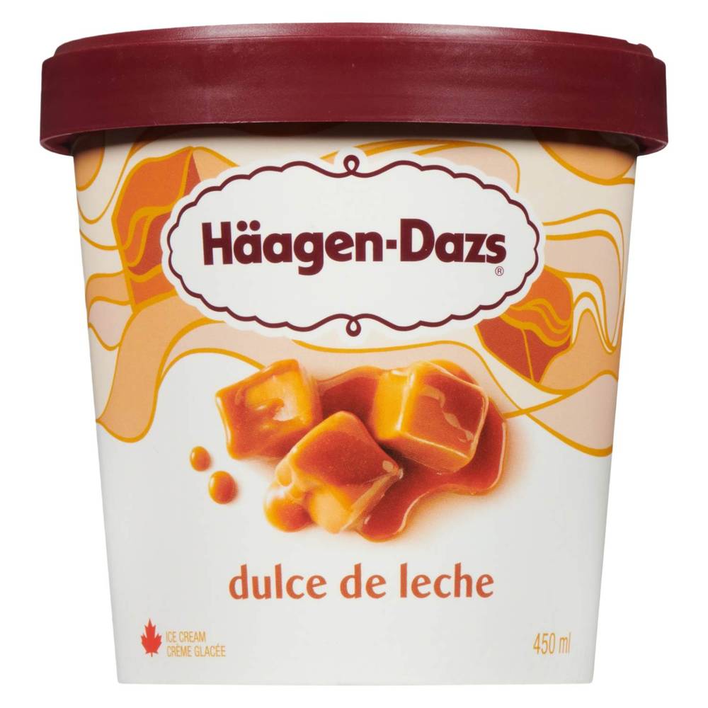 Haagen-Dazs Dulce De Leche Ice Cream (450 ml)