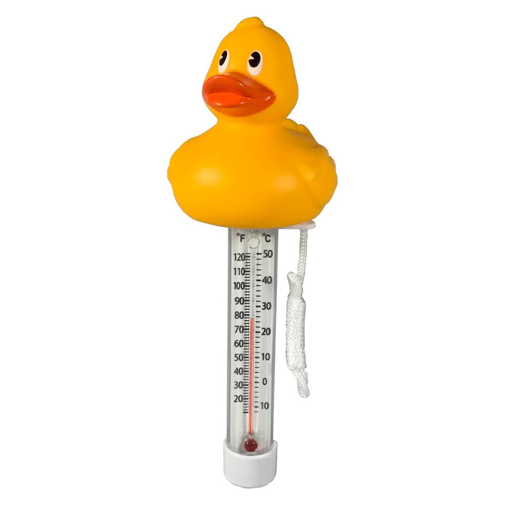 Project Source Analog Floating Pool Thermometer | TF225D-PS