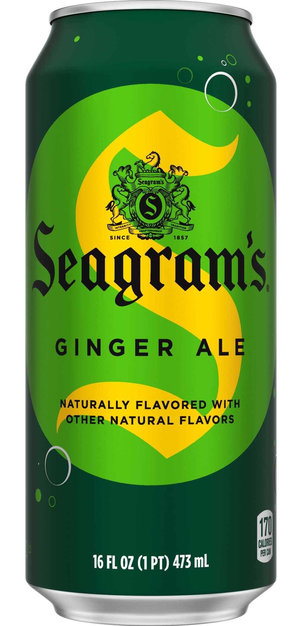 Seagram's Escapes Ginger Ale (16 fl oz)