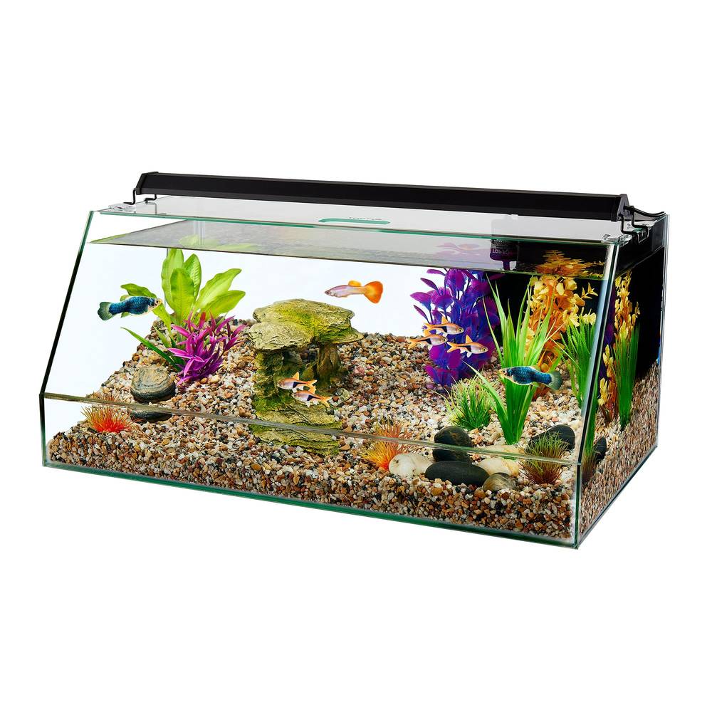 Top Fin Angled Aquarium