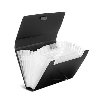 Staples Plastic Accordion File(13 Ct)