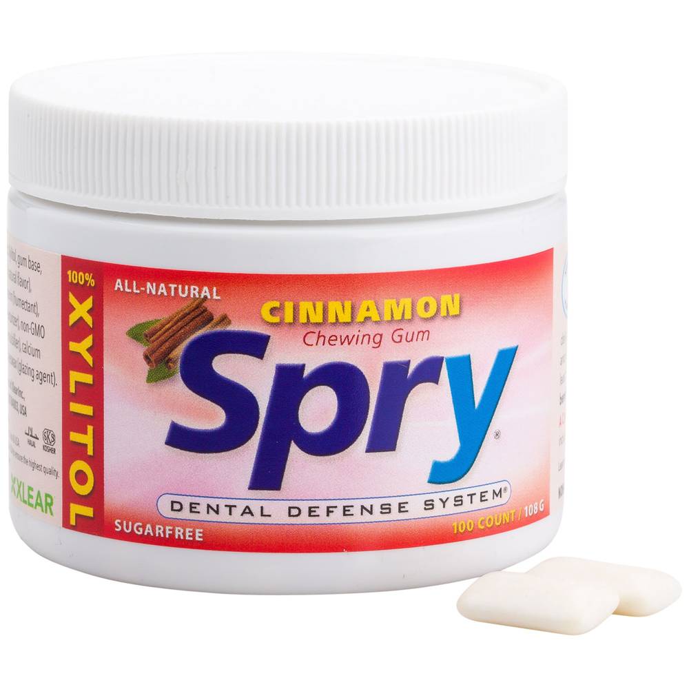 Spry - Cinnamon Chewing Gum With Xylitol (100 Pieces)