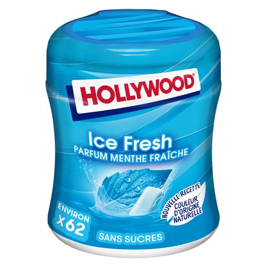 Hollywood - Chewing gum à la menthe fraîche sans sucres ice fresh (62 pièces)