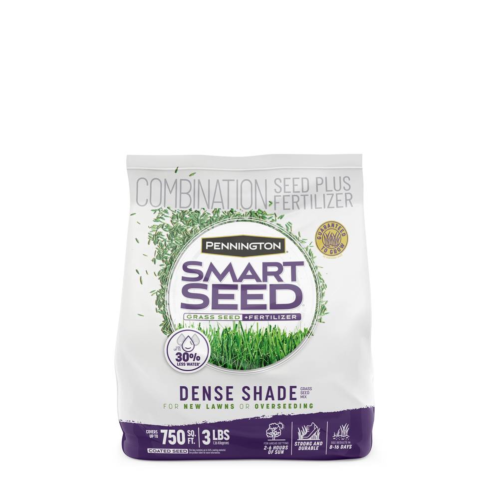 Pennington Smart Seed Dense Shade 3-lb Mixture/Blend Grass Seed | 100543702