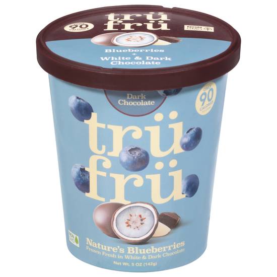 Tru Fru Dark Chocolate Blueberries Ice Cream (5 oz)