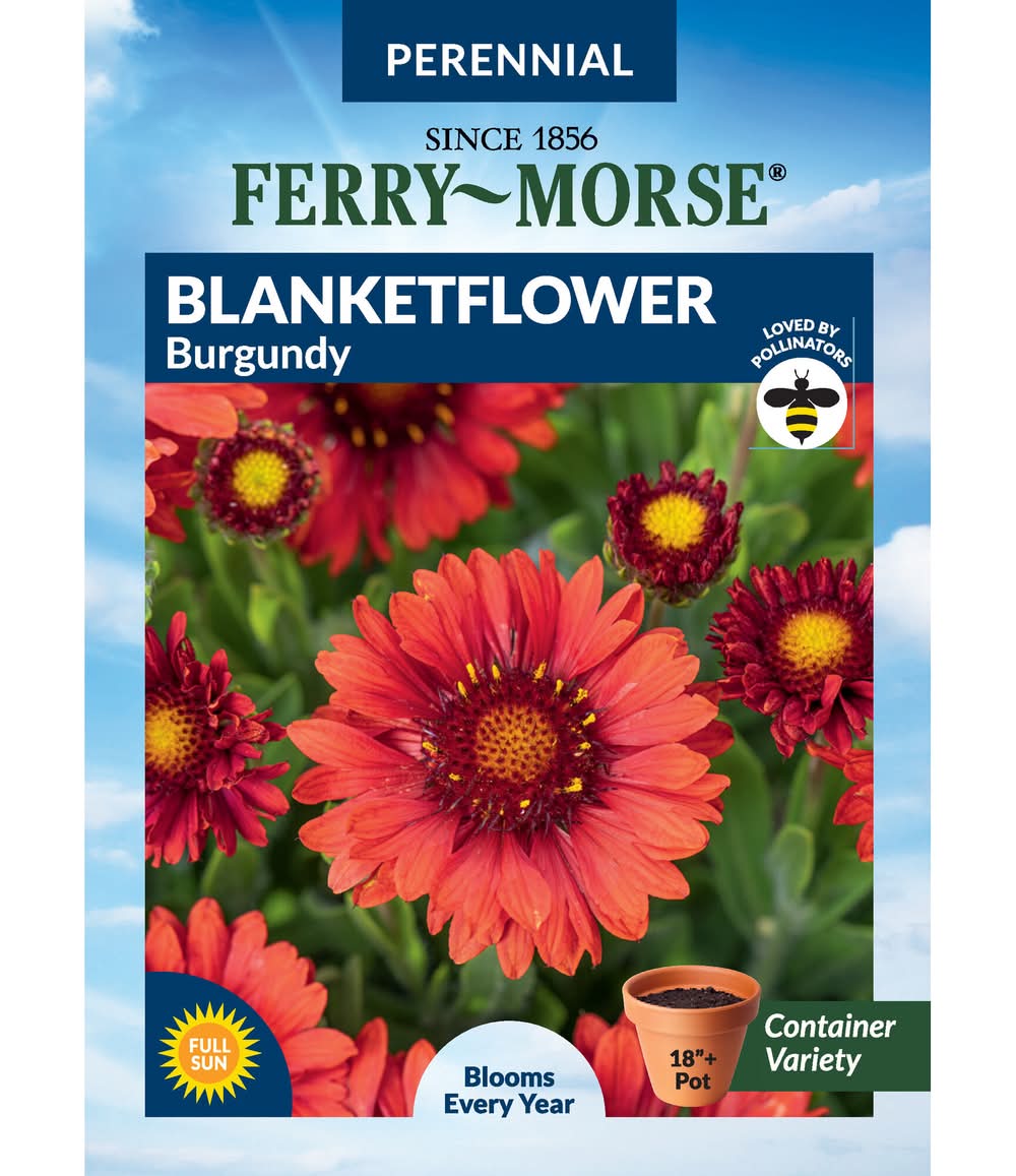 Ferry-Morse Blanketflower Seeds 150 Milligram(s)
